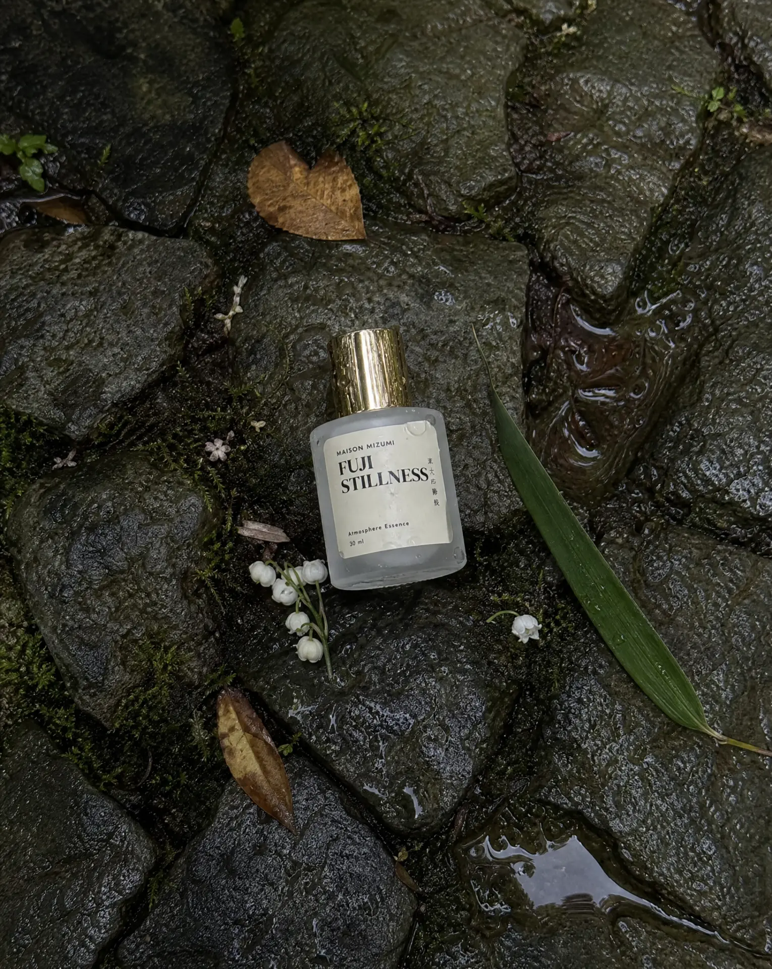 30 ml Atmosphere Oil — the notes